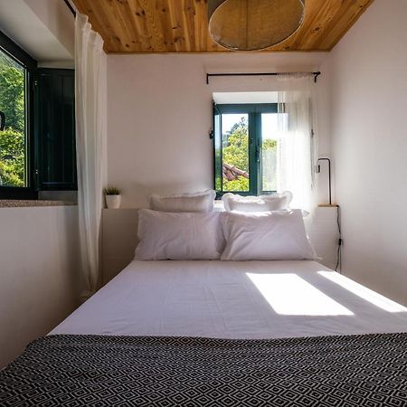 Douro Senses - Village House Cinfães Kültér fotó