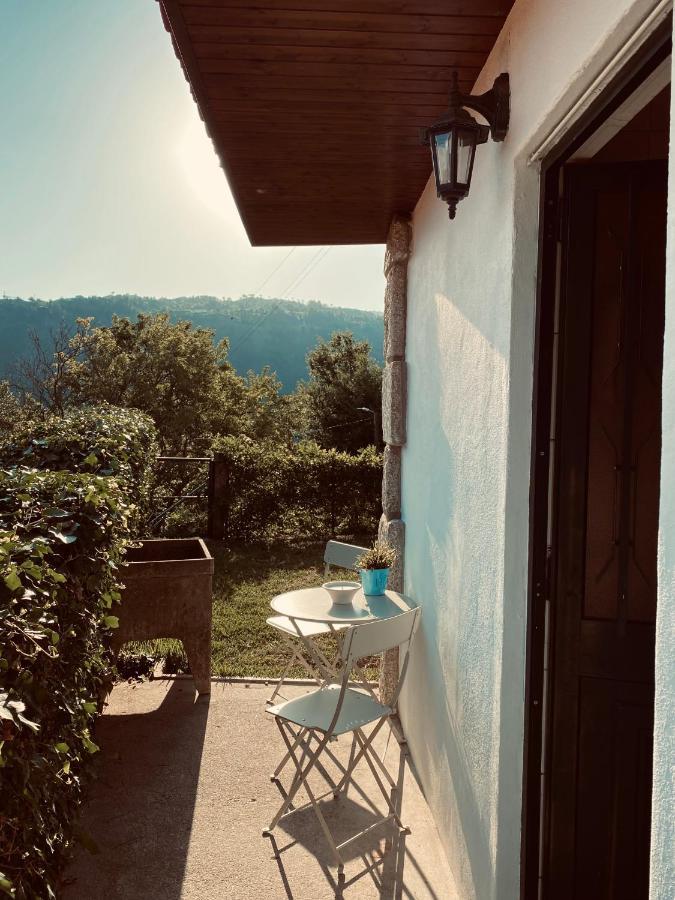 Douro Senses - Village House Cinfães Kültér fotó
