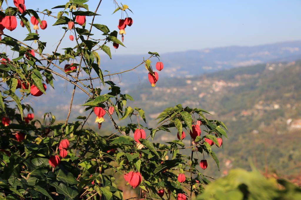 Douro Senses - Village House Cinfães Szoba fotó