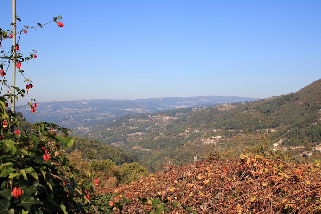 Douro Senses - Village House Cinfães Kültér fotó
